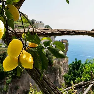 https://hotel-la-pergola-amalfi.hotels-amalfi.com