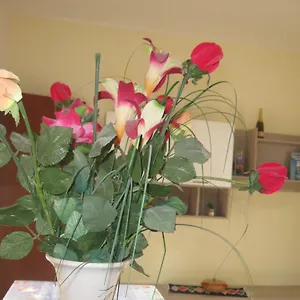 Villa Vacanze 2